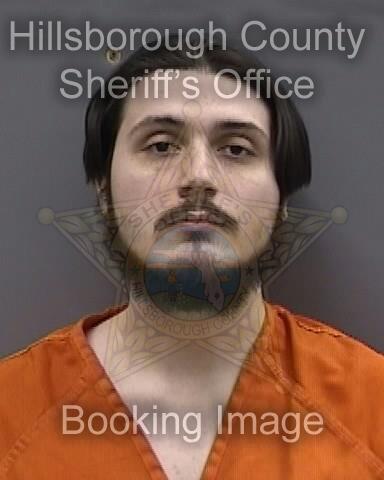 DOMINIC PASQUALE MITCHELL  Pics