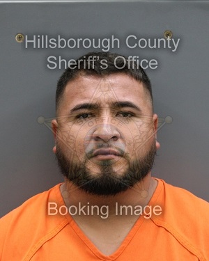 FELIPE AGUIRRE  Pics