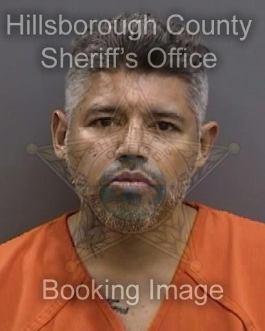 FREDDY NOEL TORRES Pics FREDDY NOEL TORRES Pics