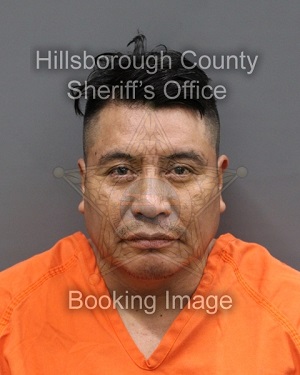 JAIME GERARD COYOTE SIR  Pics