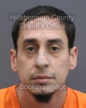 MISAEL VIENTOS PELLOT  Info, Photos, Data, and More About MISAEL VIENTOS PELLOT  / MISAEL VIENTOS PELLOT  Tampa Area