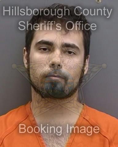 NICHOLAS MICHAEL BRILL  Pics