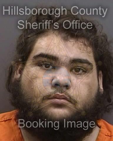 OCTAVIO NAPOLEZ Info, Photos, Data, and More About OCTAVIO NAPOLEZ / OCTAVIO NAPOLEZ Florida OCTAVIO NAPOLEZ Info, Photos, Data, and More About OCTAVIO NAPOLEZ / OCTAVIO NAPOLEZ Tampa Area