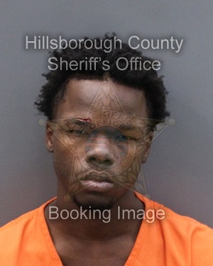 REGAN TERRACE HAMILTON  Pics