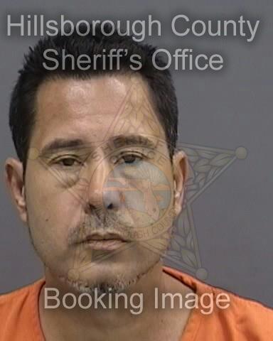TONY DROSIS  Pics