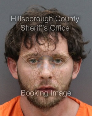 TYLER MCCLELLAND  Info, Photos, Data, and More About TYLER MCCLELLAND  / TYLER MCCLELLAND  Tampa Area