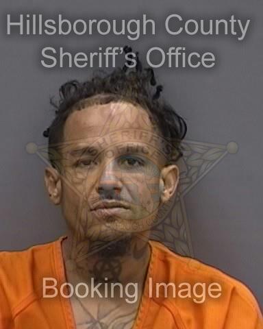 WILLIAM DOMINGUEZ  Pics