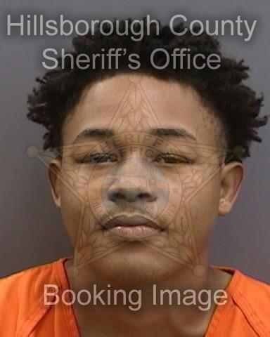 ZYCORION IQUISE AMMONS  Pics