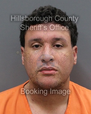 AARON XAVIER HARDING  Info, Photos, Data, and More About AARON XAVIER HARDING  / AARON XAVIER HARDING  Tampa Area