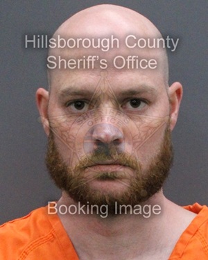 ANDREW DAVID WILSON  Pics