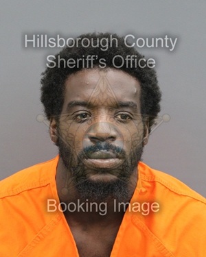 DAVIN BRENEAL TRUEDELL  Info, Photos, Data, and More About DAVIN BRENEAL TRUEDELL  / DAVIN BRENEAL TRUEDELL  Tampa Area
