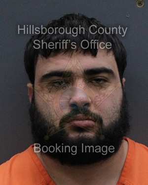 DOMINIC HAMILTON FEIJOO  Pics