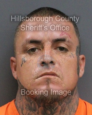 ERIC GRIMALDO  Info, Photos, Data, and More About ERIC GRIMALDO  / ERIC GRIMALDO  Tampa Area