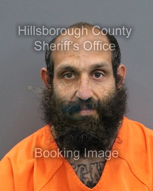 FADY SALEH SULEIMAN  Pics