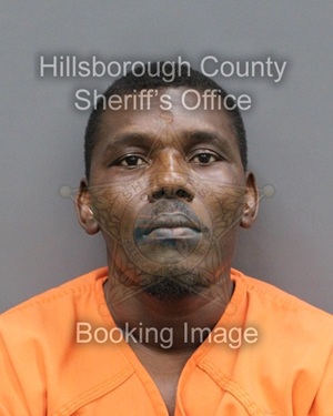 GUERINO PIERRE LOUIS  Pics