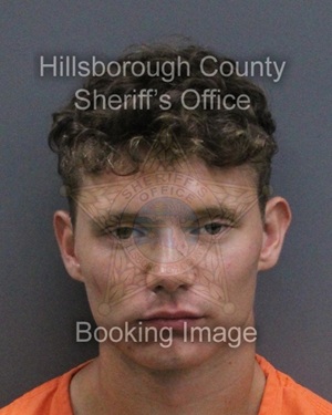 HAYDEN ARMAND CLAVIER  Pics