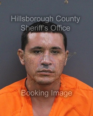 KEVIN GIRGIS  Pics