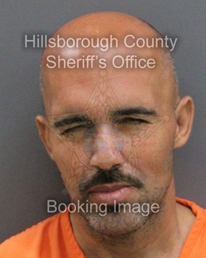 MICHAEL DAVID VAGIANDERIS  Pics