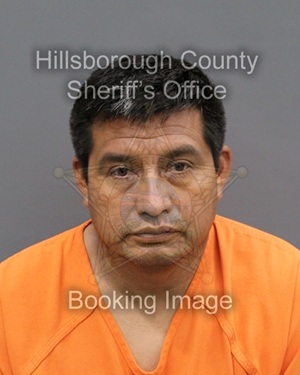 NAHIN ARIZMENDI BAHENA  Info, Photos, Data, and More About NAHIN ARIZMENDI BAHENA  / NAHIN ARIZMENDI BAHENA  Tampa Area