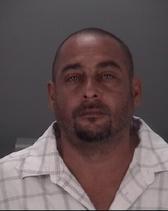 Mark Labarbera Pics Mark Labarbera Pics