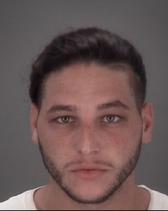 William Johnson Pics