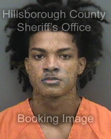 DAVID ALEXANDER MORALES ROSARIO  Pics