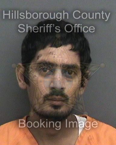 RINESH PATEL  Info, Photos, Data, and More About RINESH PATEL  / RINESH PATEL  Tampa Area